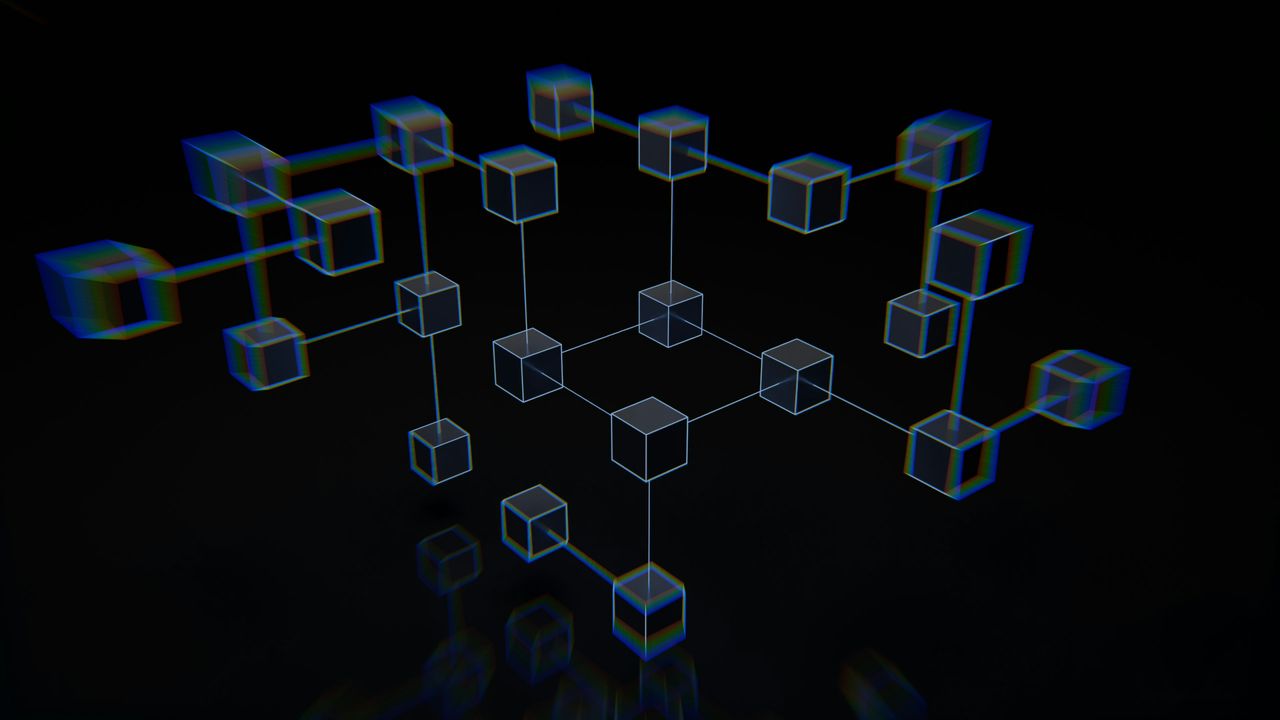 https://demoarea.lanasofttechnologies.com/wp-content/uploads/2026/01/IMG_8680.jpg